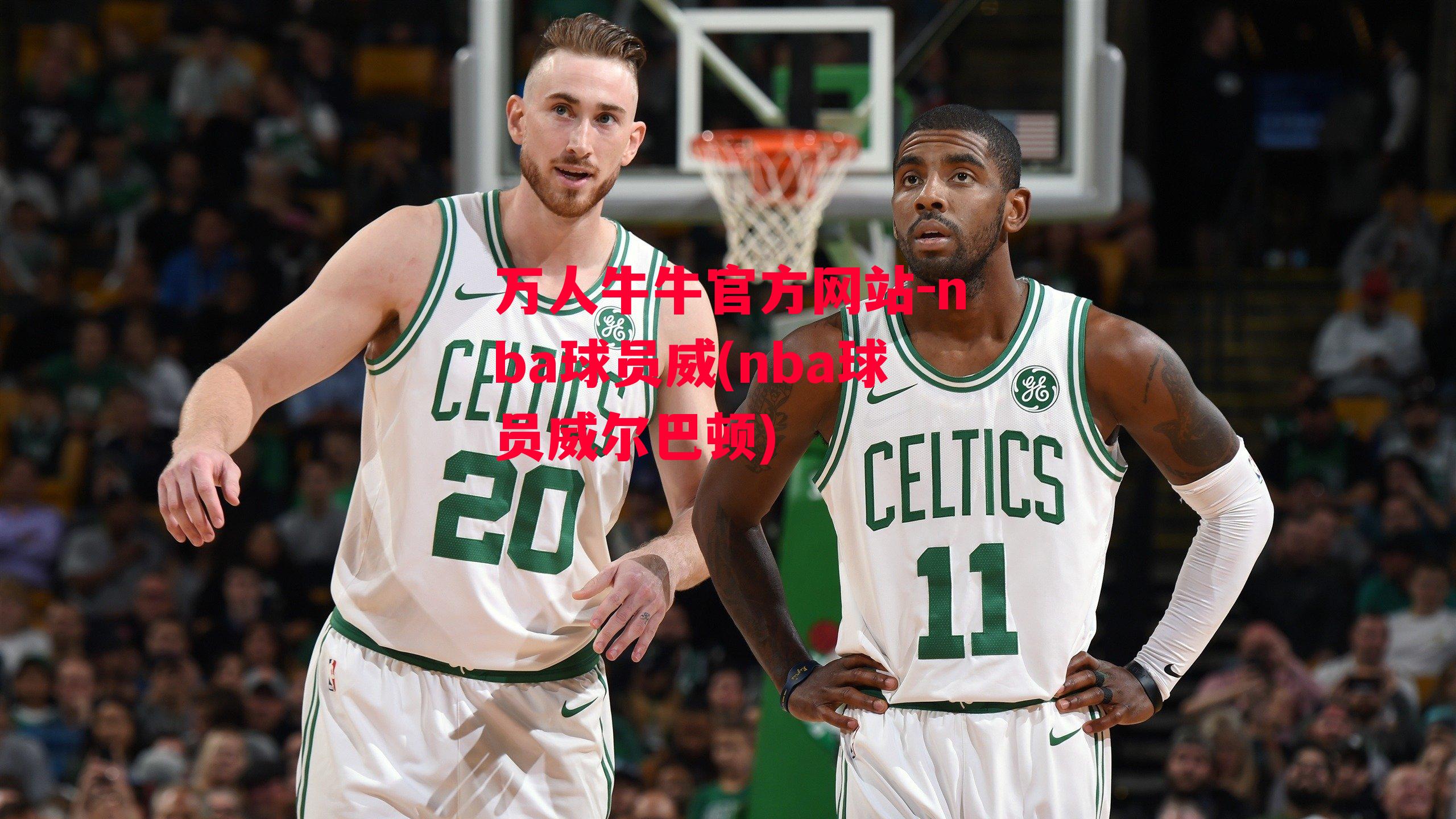 nba球员威(nba球员威尔巴顿)