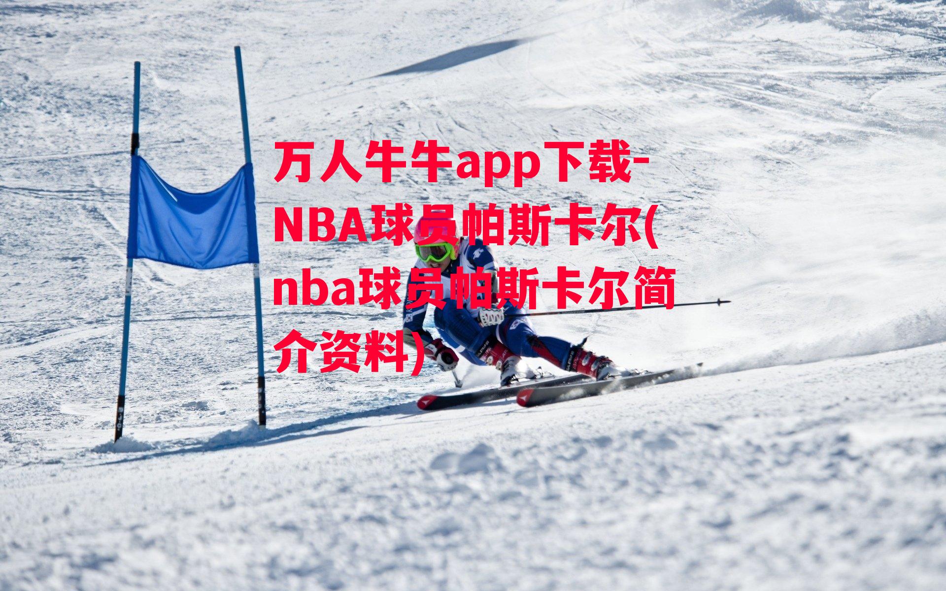 万人牛牛app下载-NBA球员帕斯卡尔(nba球员帕斯卡尔简介资料)