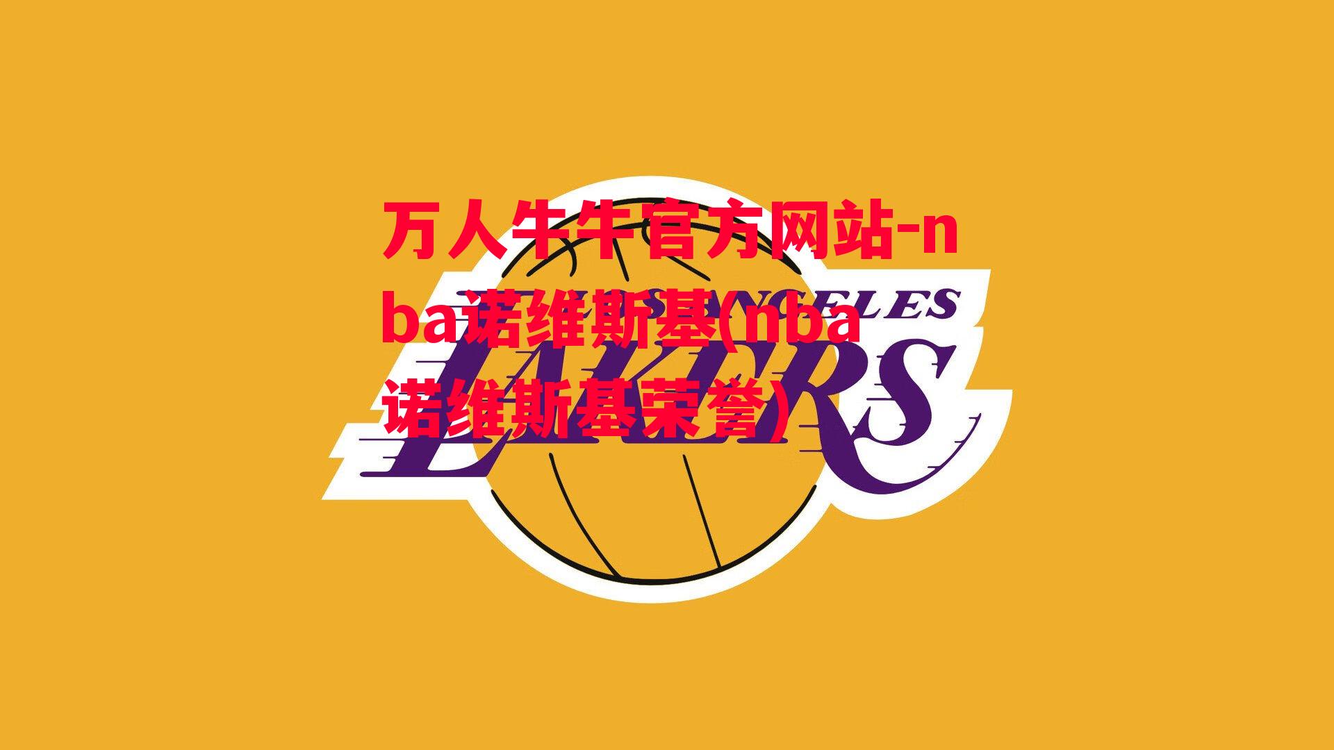 nba诺维斯基(nba诺维斯基荣誉)